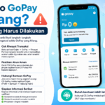 Saldo GoPay Hilang Ini Yang Harus Dilakukan